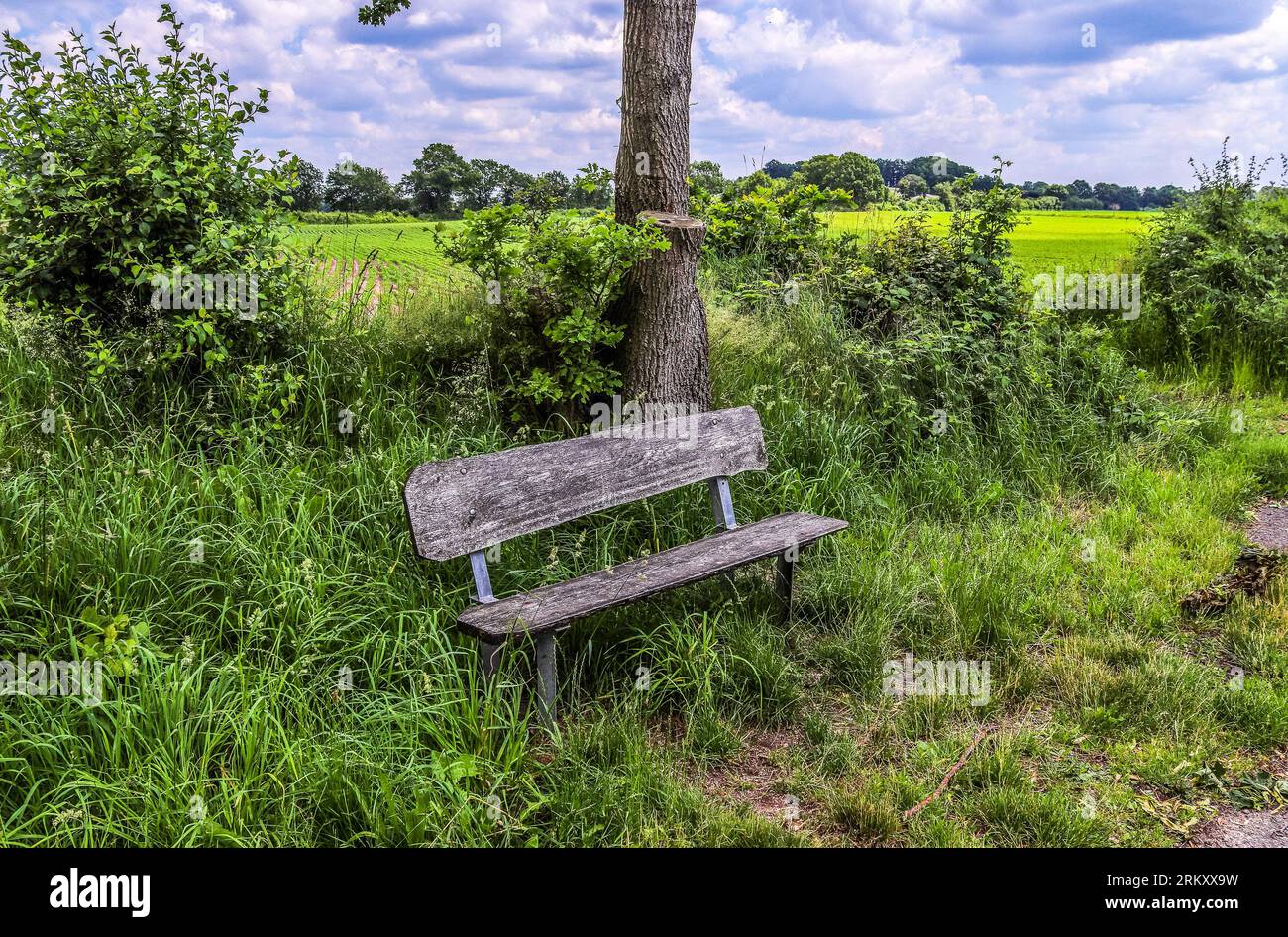 Nature table found object hi-res stock photography and images - Alamy