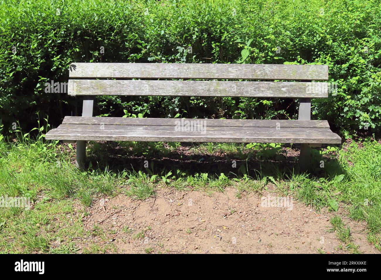 Nature table found object hi-res stock photography and images - Alamy