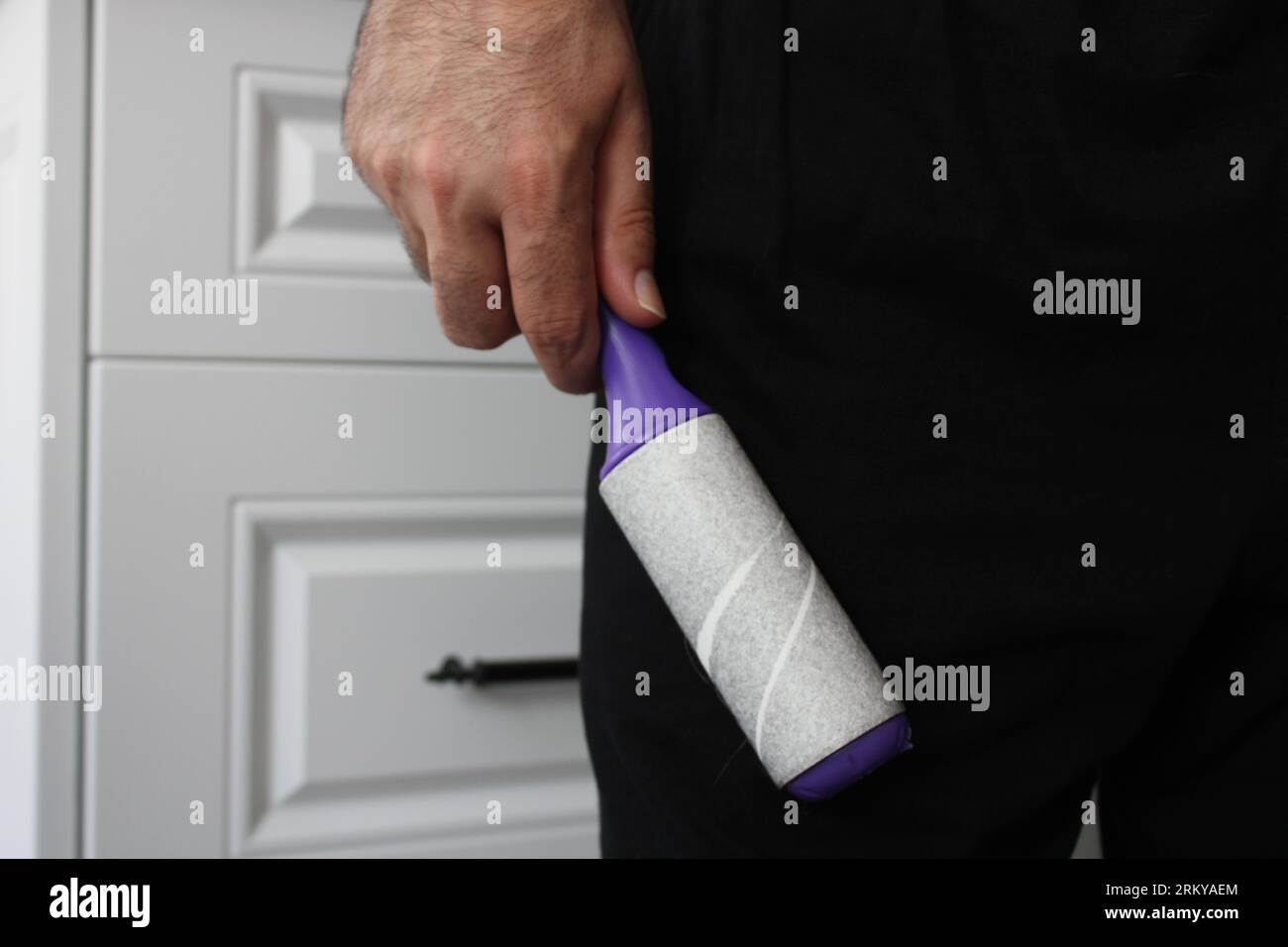 Cat hair collector in man's hand Stock Photo Alamy