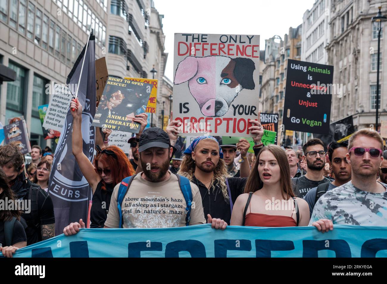 Animal advocacy movement hi-res stock photography and images - Alamy