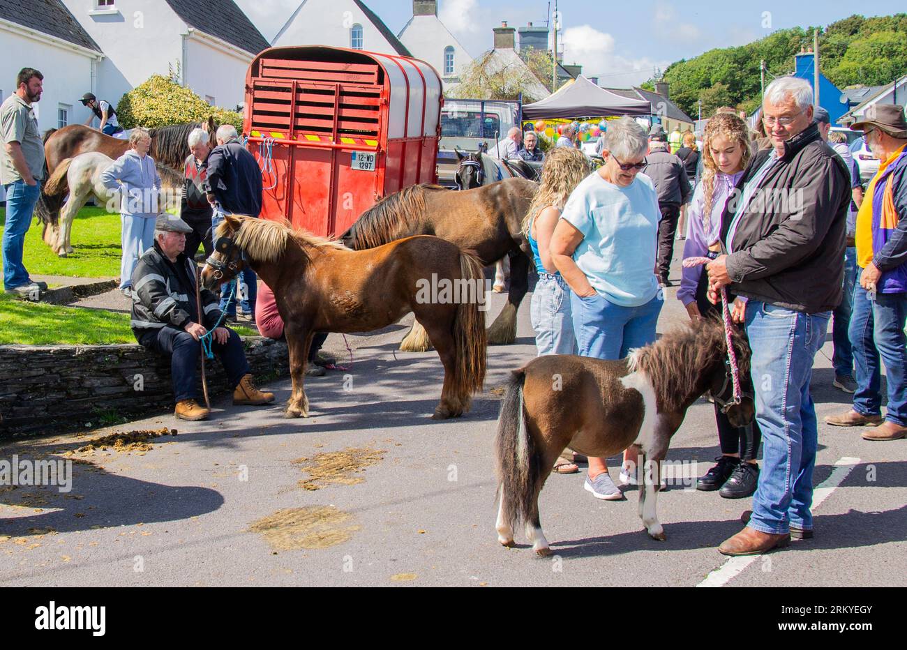 Rosscarbery Horse Fair West Cork Ireland Stock Photo Alamy