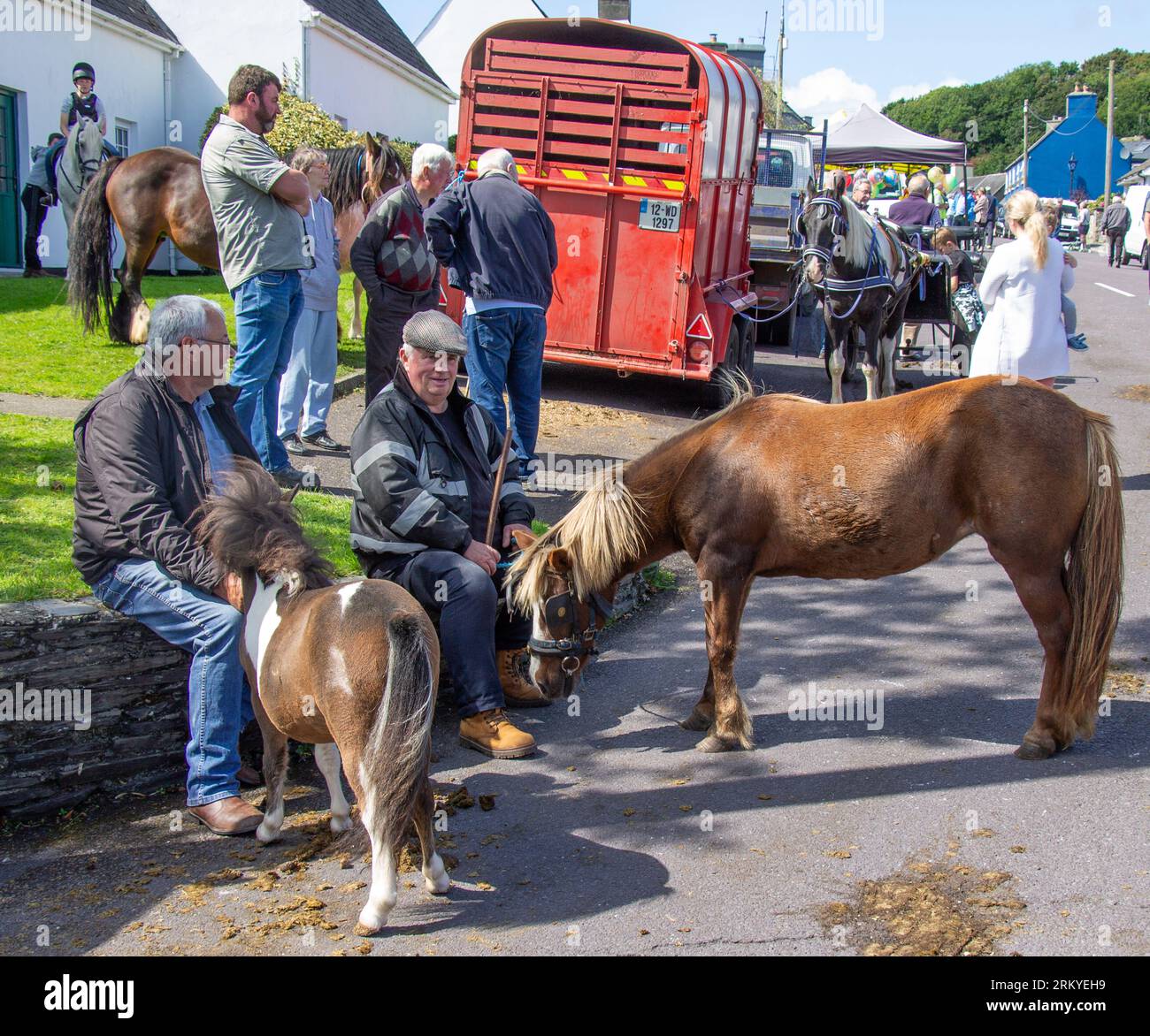 Rosscarbery Horse Fair West Cork Ireland Stock Photo Alamy