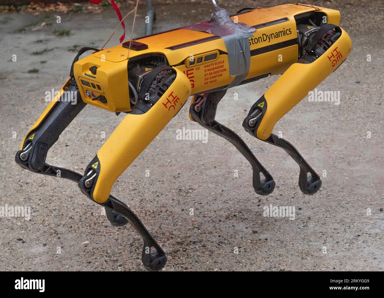 Boston dynamics robot hi-res stock photography and images - Alamy