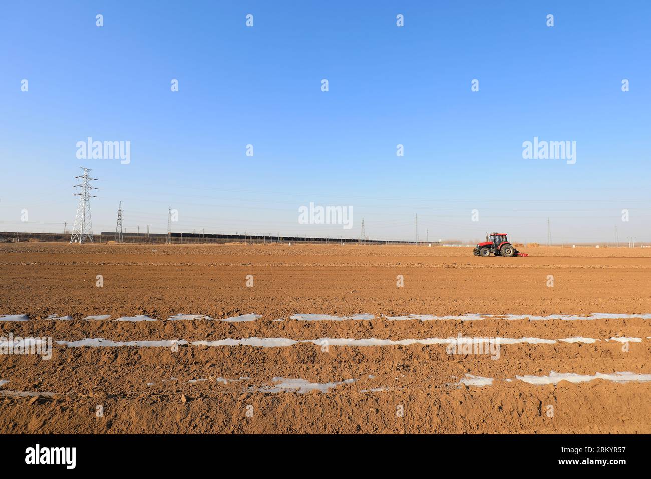 Farmers drive planters to grow potatoes on the farm. Stock Photo