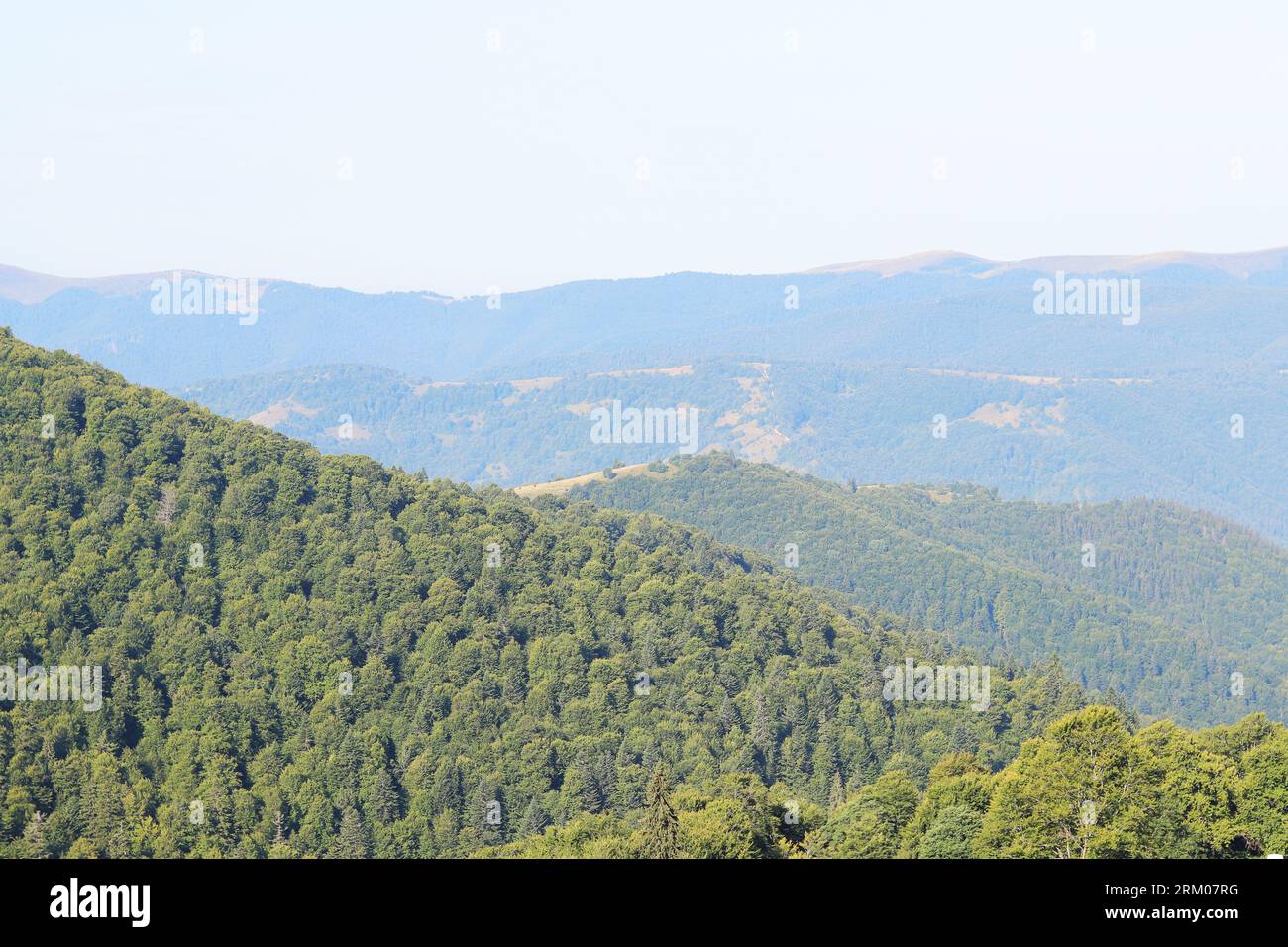 Mountain landscape, hills of the Carpathian mountains, Ukraine. Tourism concept. Wooded area, nature in summer Stock Photo