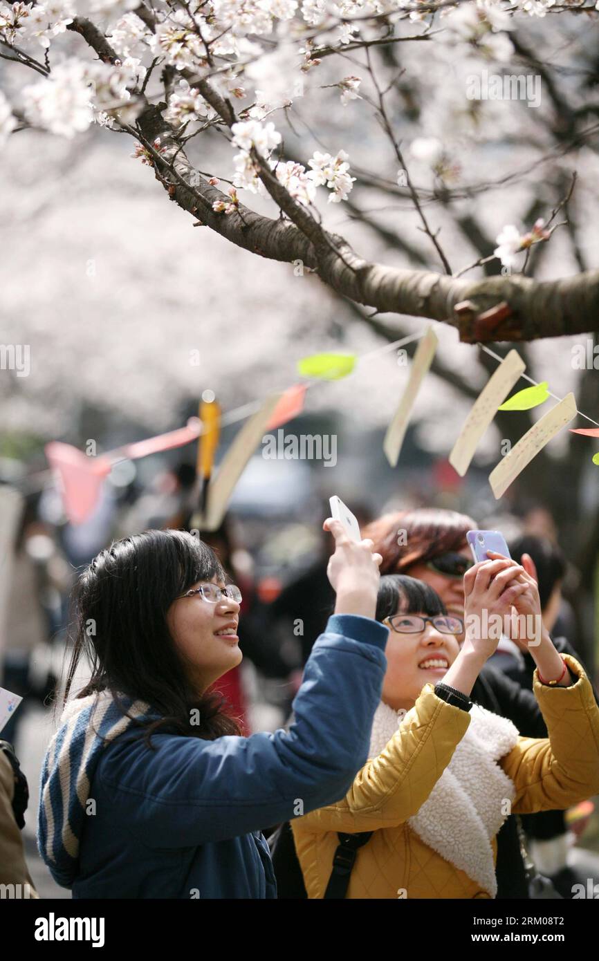 Bildnummer: 59349908  Datum: 14.03.2013  Copyright: imago/Xinhua (130314) -- NANJING, March 14, 2013 (Xinhua) -- Students take photos of small love letters hung under the flowering cherry trees at Nanjing Forestry University in Nanjing, capital of east China s Jiangsu Province, March 14, 2013. Some 400 small love letters were hung under the flowering cherry trees here Thursday.(Xinhua) (yxb) CHINA-JIANGSU-NANJING-LOVE LETTERS(CN) PUBLICATIONxNOTxINxCHN Gesellschaft Liebe Brief Romantik Liebesbrief Frühlingsgefühle x0x xdd 2013 hoch      59349908 Date 14 03 2013 Copyright Imago XINHUA  Nanjing Stock Photo