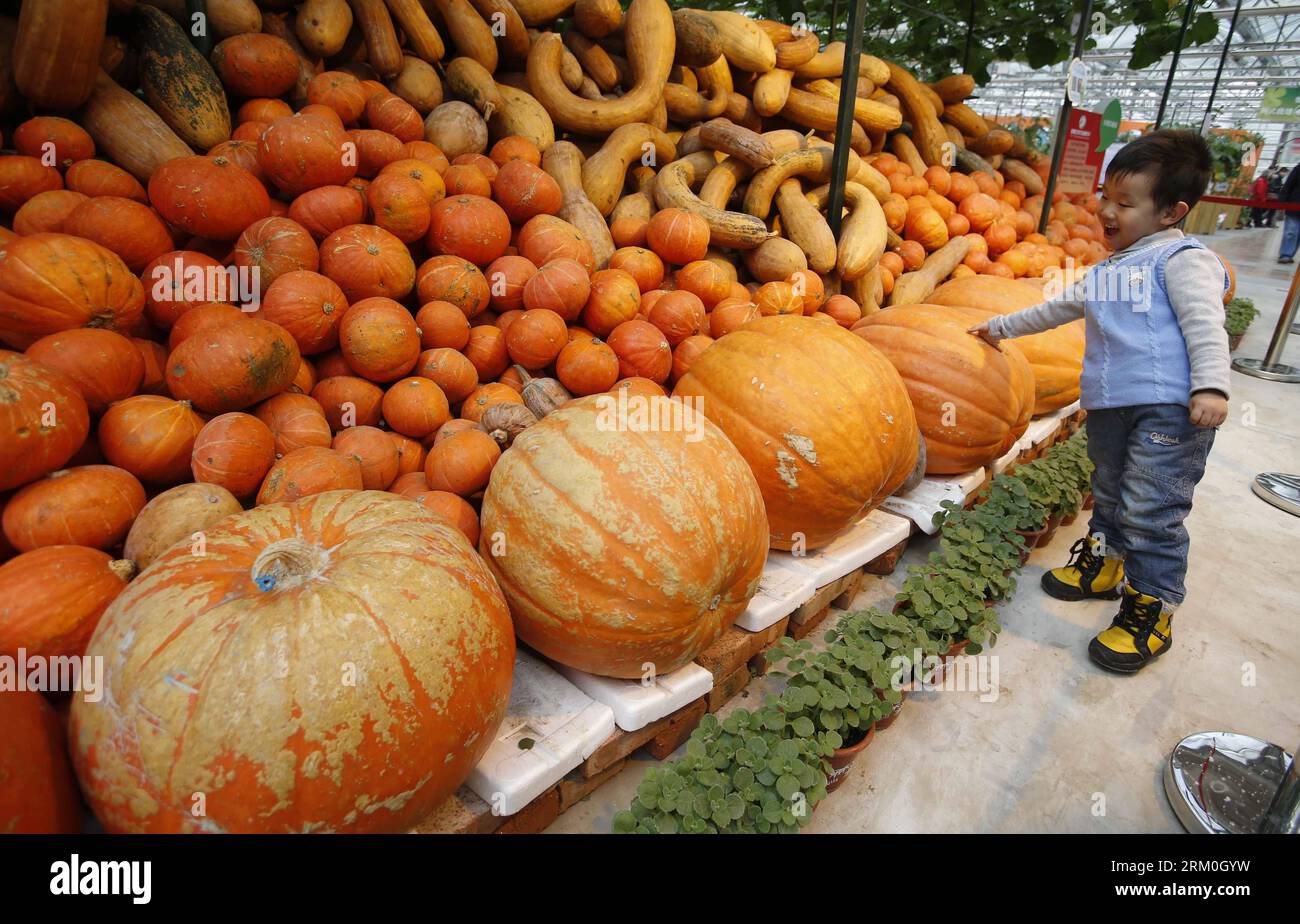 Bildnummer: 59416514  Datum: 23.03.2013  Copyright: imago/Xinhua (130323) -- BEIJING, March 23, 2013 (Xinhua) -- A child is attracted by giant pumpkins during the 1st Agriculture Carnival at the Strawberry Expo Park in Changping District, Beijing, capital of China, March 23, 2013. Opened Saturday, the carnival will continue till May 12, highlighting the latest agricultural science, technologies and creative agricultural projects. (Xinhua/Li Xin) (wqq) CHINA-BEIJING-AGRICULTURE CARNIVAL (CN) PUBLICATIONxNOTxINxCHN Gesellschaft x0x xsk 2013 quer      59416514 Date 23 03 2013 Copyright Imago XINH Stock Photo