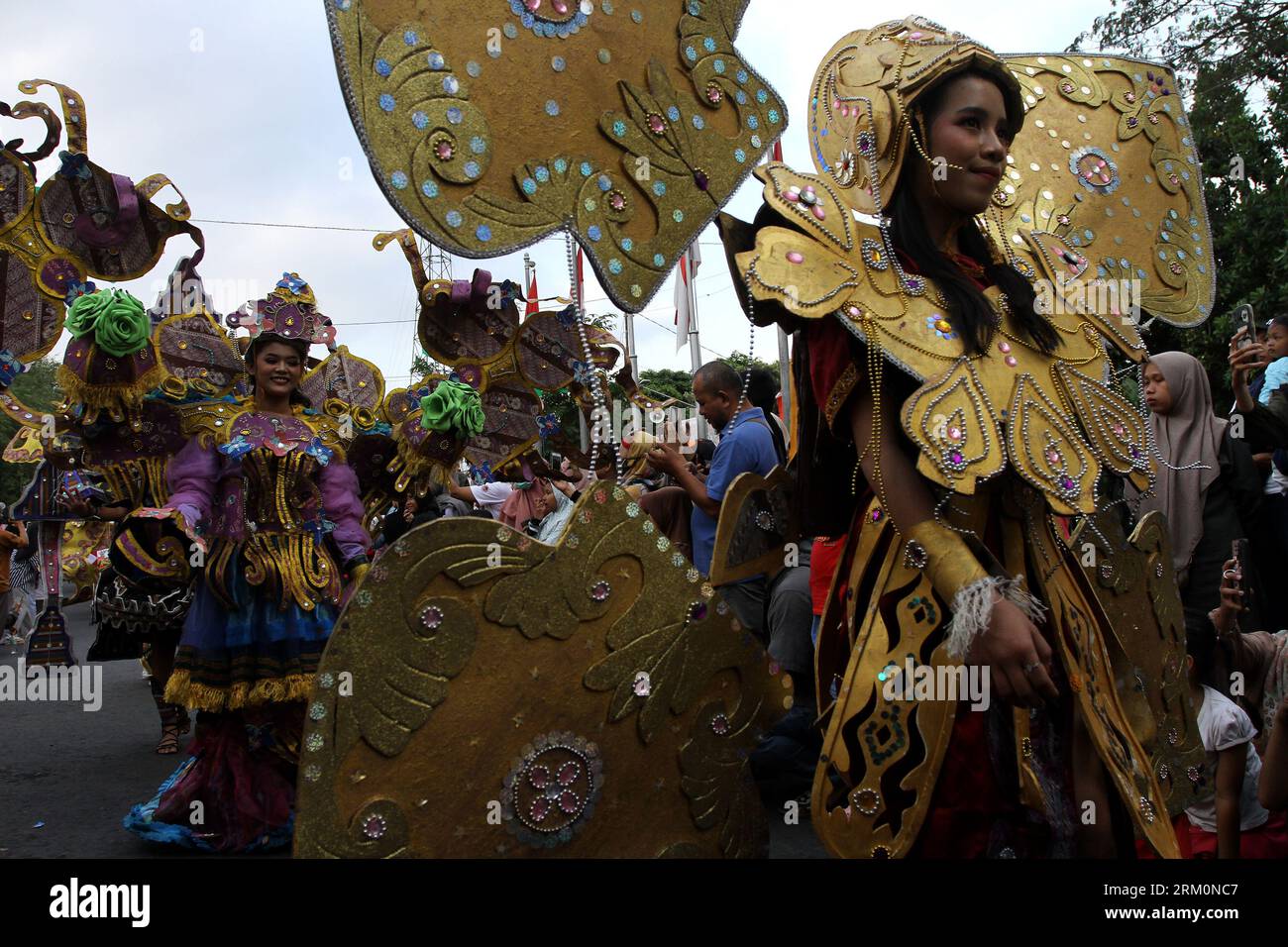 carnival party costume for wire costume