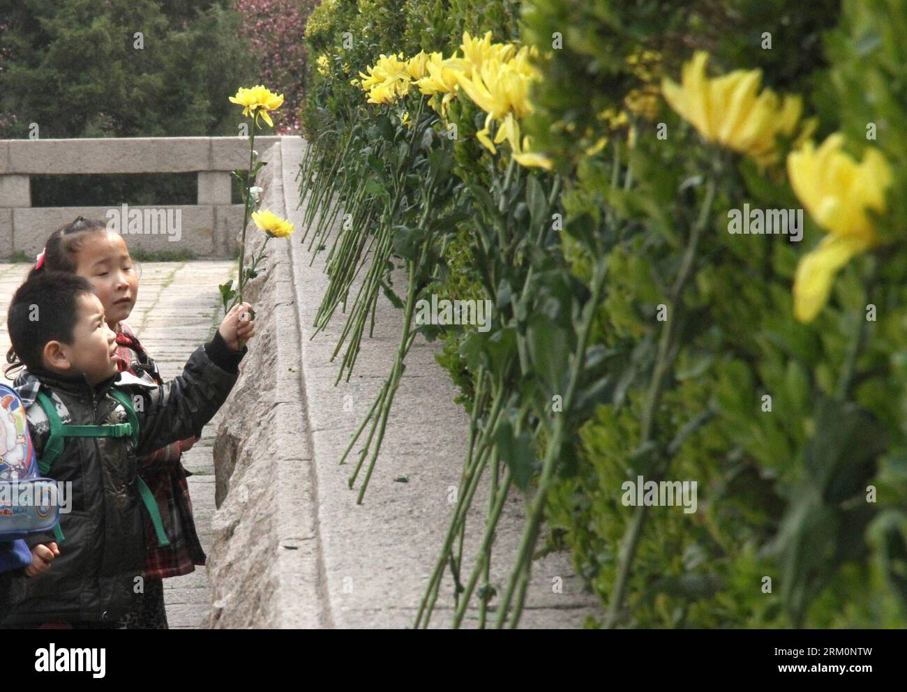 Bildnummer: 59460483  Datum: 30.03.2013  Copyright: imago/Xinhua Children present flowers to a monument at Yuhuatai Martyr Cemetery in Nanjing, capital of east China s Jiangsu Province, March 30, 2013, to pay respect to martyrs ahead of the Qingming Festival, or Tomb Sweeping Day, which falls on April 4 this year. (Xinhua/Xu Yijia) (ry) CHINA-QINGMING FESTIVAL-MEMORIAL CEREMONIES (CN) PUBLICATIONxNOTxINxCHN Gesellschaft xas x2x 2013 quer o0 Friedhof Trauer Gedenken  Totenfest Totengedenken Blumen     59460483 Date 30 03 2013 Copyright Imago XINHUA Children Present Flowers to a Monument AT Yuhu Stock Photo
