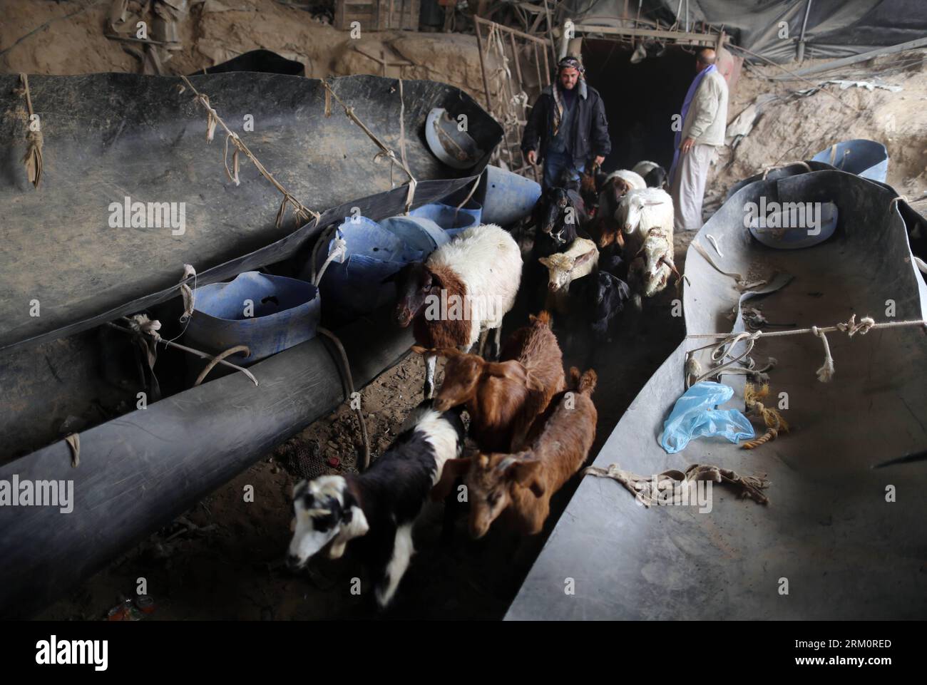 Bildnummer: 59466526  Datum: 02.04.2013  Copyright: imago/Xinhua (130402) -- GAZA, April 2, 2013 (Xinhua) -- Palestinian drive sheep through a smuggling tunnel between the Hamas-ruled Gaza Strip and Egypt in the southern Gaza Strip city of Rafah on April 2, 2013. The Egyptian army started to knock down Gaza smuggling tunnels last month after a high Egyptian court has urged the authorities in Cairo to tear down all the tunnels along the borders between Gaza and Egypt. (Xinhua/Wissam Nassar) (djj) MIDEAST-GAZA-SMUGGLING-TUNNELS PUBLICATIONxNOTxINxCHN Gesellschaft Gaza Gazastreifen Palästina Schm Stock Photo