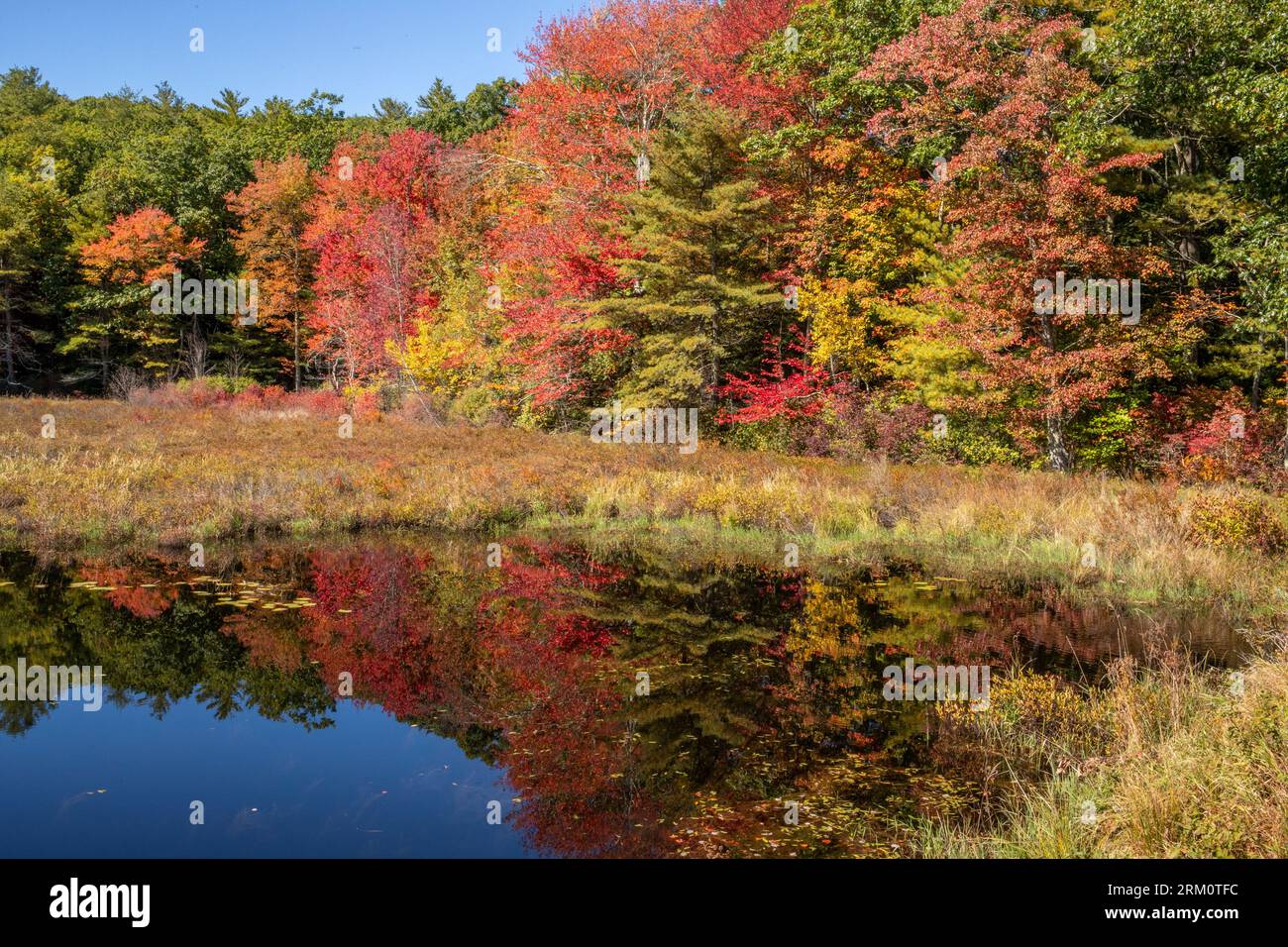 Autumn landscape in a small rural New England town Stock Photo