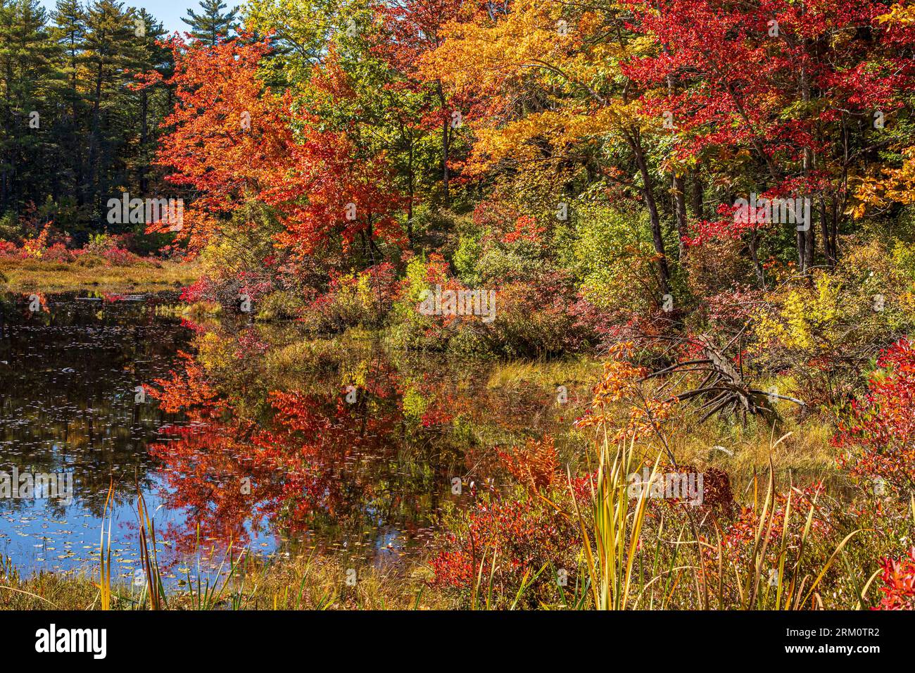 Autumn landscape in a small rural New England town Stock Photo