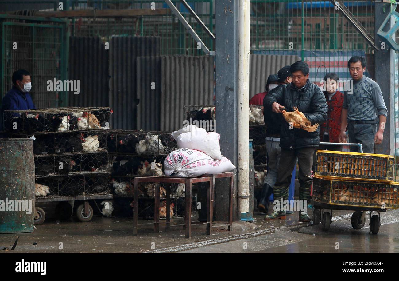 Bildnummer: 59477130  Datum: 05.04.2013  Copyright: imago/Xinhua (130405) -- SHANGHAI, April 5, 2013 (Xinhua) -- Workers conduct innocuous disposal of live poultry at the Sanguantang poultry and egg market in Shanghai, east China, April 5, 2013. The government of Shanghai Municipality said on Friday sales of live poultry will be suspended in the municipality from April 6 as the H7N9 strain of avian influenza has sickened 14 and killed six. (Xinhua/Ding Ting) (wjq) CHINA-SHANGHAI-H7N9 BIRD FLU-LIVE POULTRY MARKET-CLOSE (CN) PUBLICATIONxNOTxINxCHN Gesellschaft Vogelgrippe premiumd x2x xkg 2013 q Stock Photo