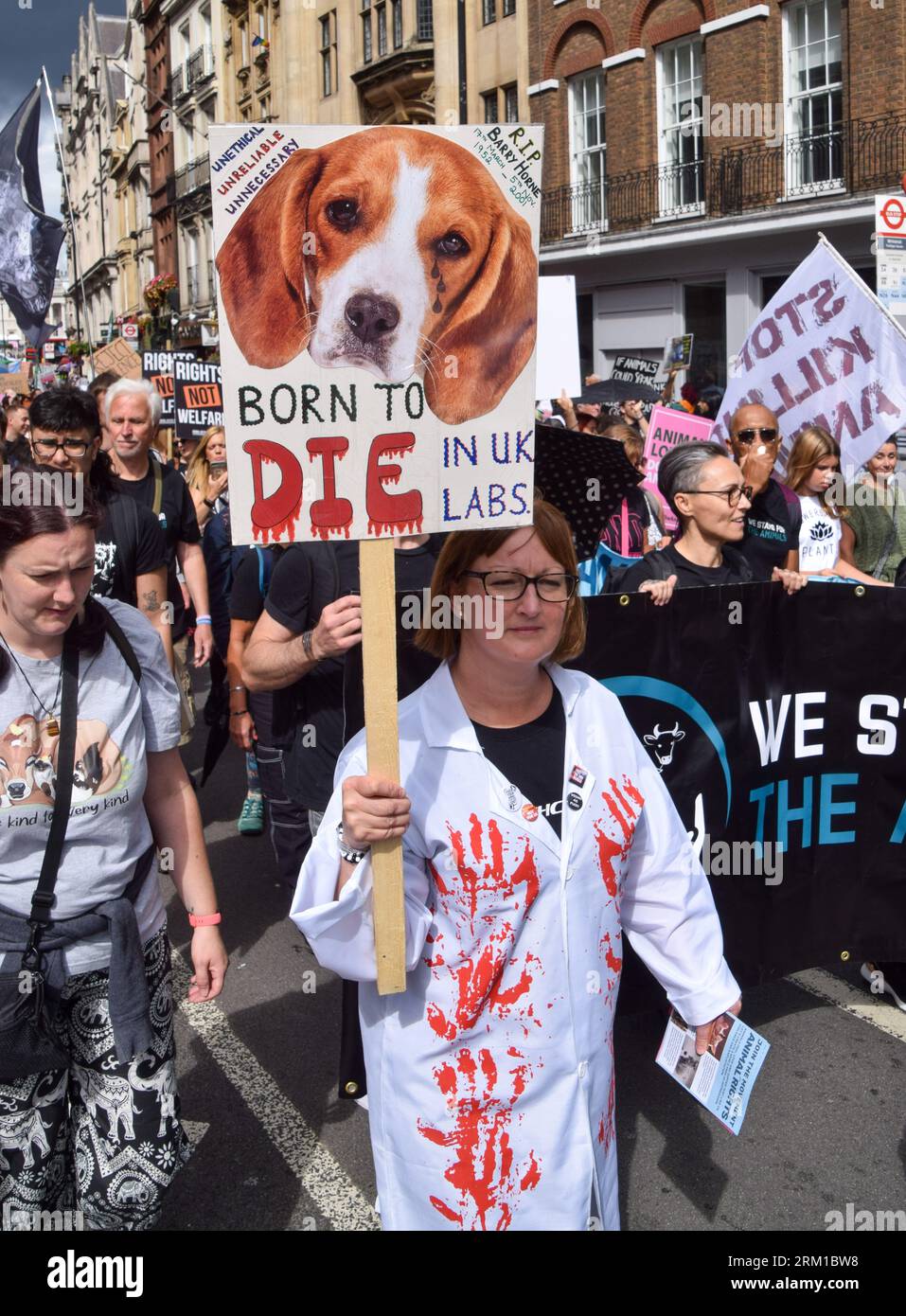 London, England, UK. 26th Aug, 2023. A protester holds a sign opposed ...