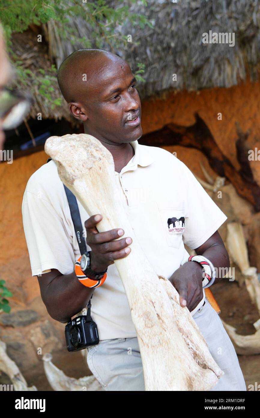 Bildnummer: 59560685  Datum: 21.04.2013  Copyright: imago/Xinhua NAIROBI, April, 2013 - Elephant researcher David Daballen introduces a bone of an elephant at Samburu National Reserve, north of Kenya, on April 20, 2013. Save the Elephants (STE) was founded by Iain Douglas-Hamilton, a zoologist known for his study of elephants, in northern Kenya in 1993. It works to sustain elephant population and preserve the habitats in which elephants are found, while at the same time fostering a heightened appreciation and visibility for elephants and their fragile existence. Researchers here track elephant Stock Photo