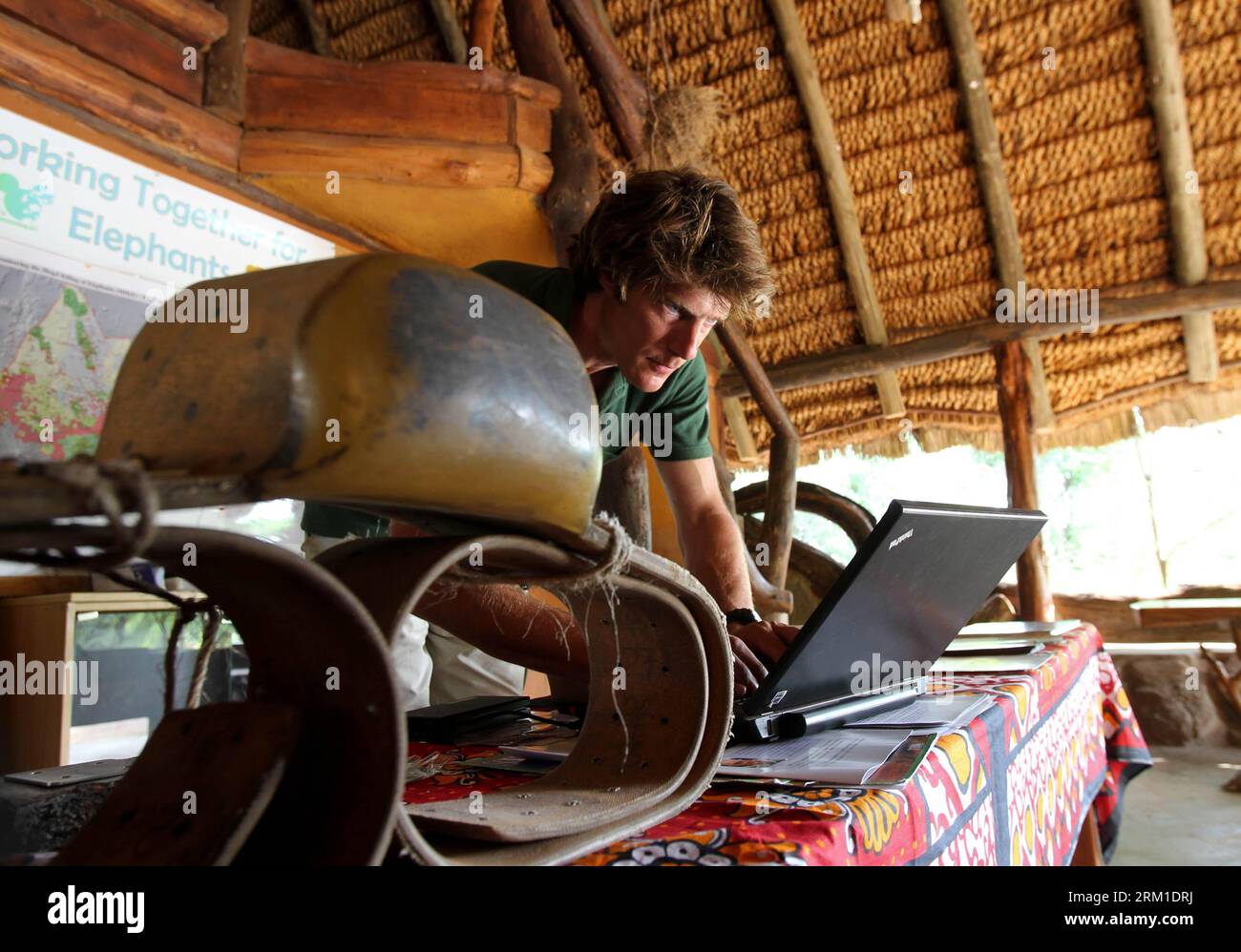 Bildnummer: 59560683  Datum: 21.04.2013  Copyright: imago/Xinhua NAIROBI, April, 2013 - Elephant researcher Frank Pope looks up elephant monitoring records at the camp of Save the Elephant in Samburu National Reserve, north of Kenya, on April 21, 2013. Save the Elephants (STE) was founded by Iain Douglas-Hamilton, a zoologist known for his study of elephants, in northern Kenya in 1993. It works to sustain elephant population and preserve the habitats in which elephants are found, while at the same time fostering a heightened appreciation and visibility for elephants and their fragile existence Stock Photo