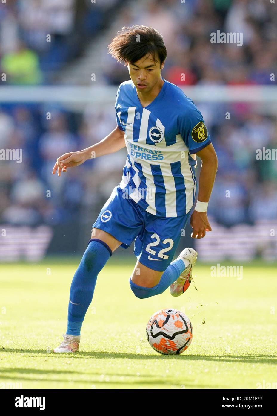 Brighton and Hove Albion's Kaoru Mitoma in action during the Premier ...