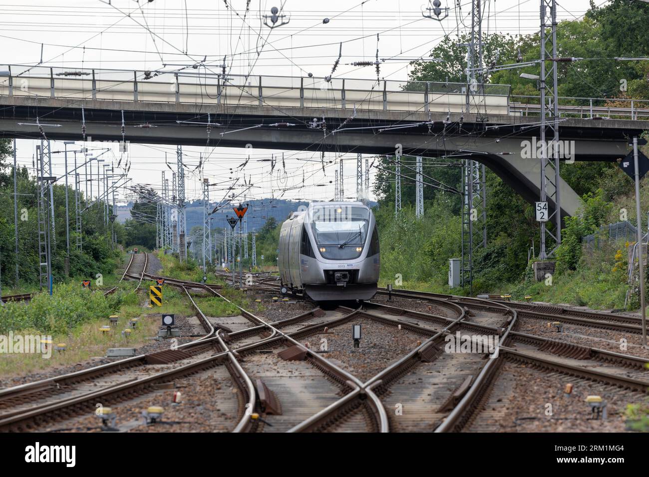 25 August 2023, Saxony, Döbeln: A train of the Mitteldeutsche Regiobahn (MRB) runs along a track in the direction of Döbeln. Photo: Daniel Schäfer/dpa Stock Photo