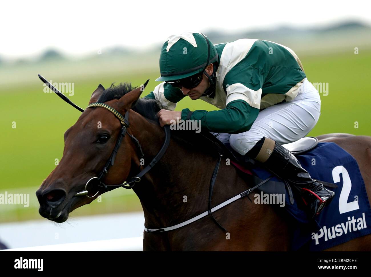 Asian Daze ridden by jockey Danny Sheehy on their way to winning the Plusvital Supplements Nursery Handicap during Pat Smullen Race Day at Curragh Racecourse, County Kildare. Picture date: Saturday August 26, 2023. Stock Photo