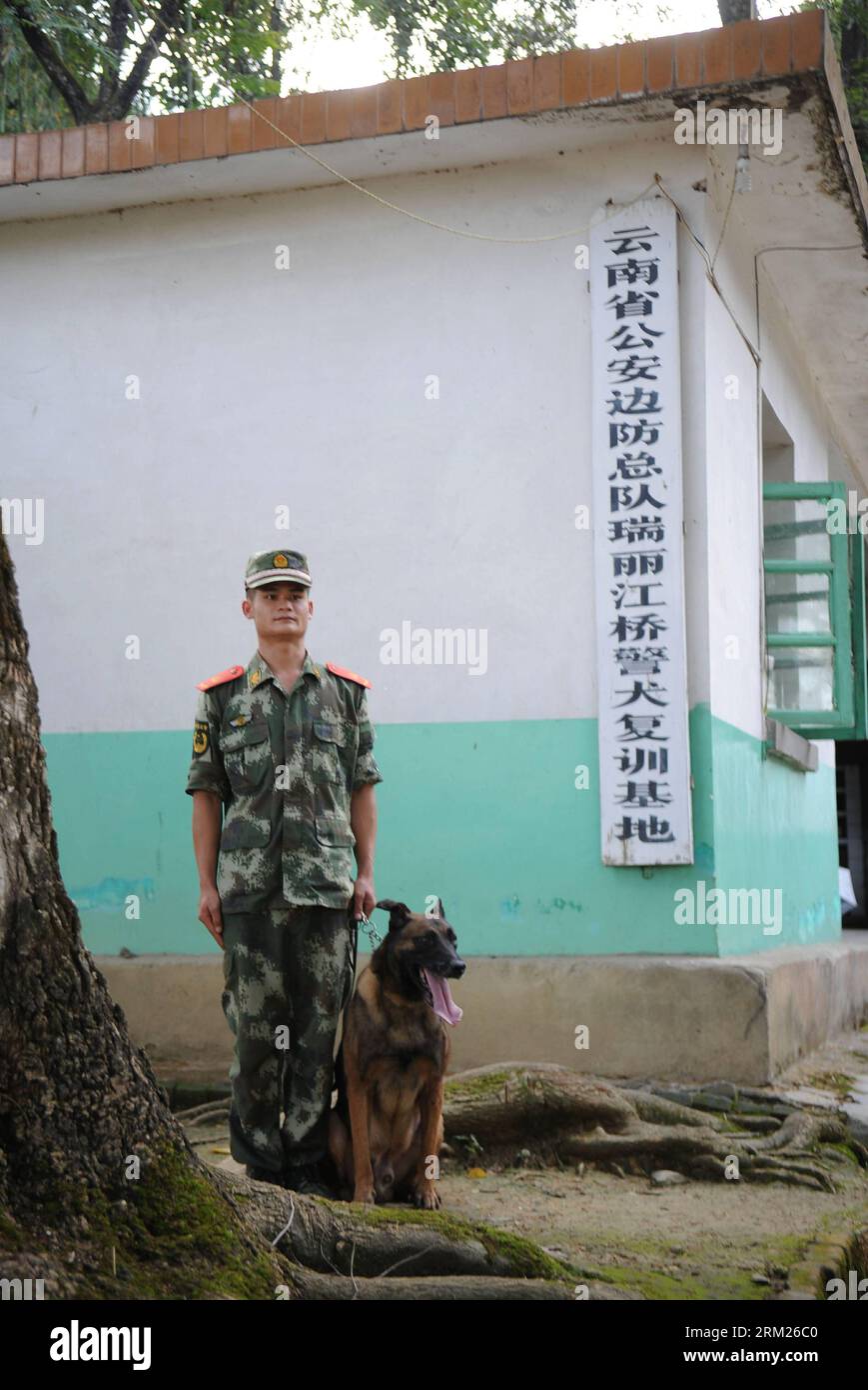 Bildnummer: 59712224  Datum: 26.05.2013  Copyright: imago/Xinhua RUILI, May 26, 2013 - Lan Wu, a sniff dog handler, and sniff dog Jiang Hao pose for a picture at Jiangqiao police dog training base in Ruili City of Dehong Dai-Jingpo Autonomous Prefecture, southwest China s Yunnan Province, May 26, 2013. Jiang Hao, a Belgian Malinois, has helped solving 68 drug cases since it came to the base in 2008. Jiangqiao police dog training base, which is under the administration of the local border frontier corps, has helped solving more than 400 cases since it was founded in 2003. (Xinhua/Qin Lang)(wjq) Stock Photo