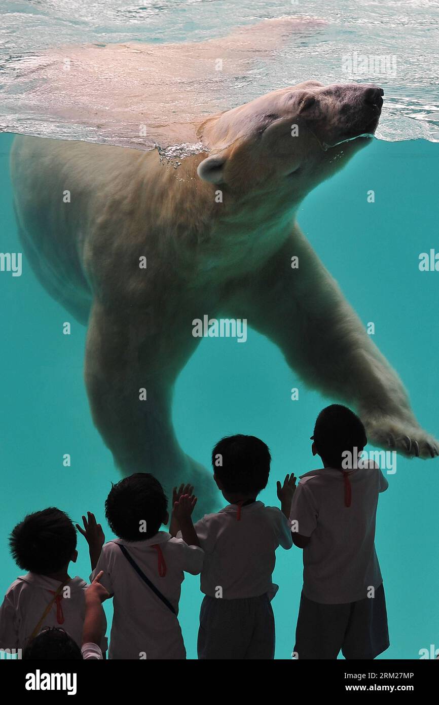 3D-Sticker » Zoo-Tiere, Artgame