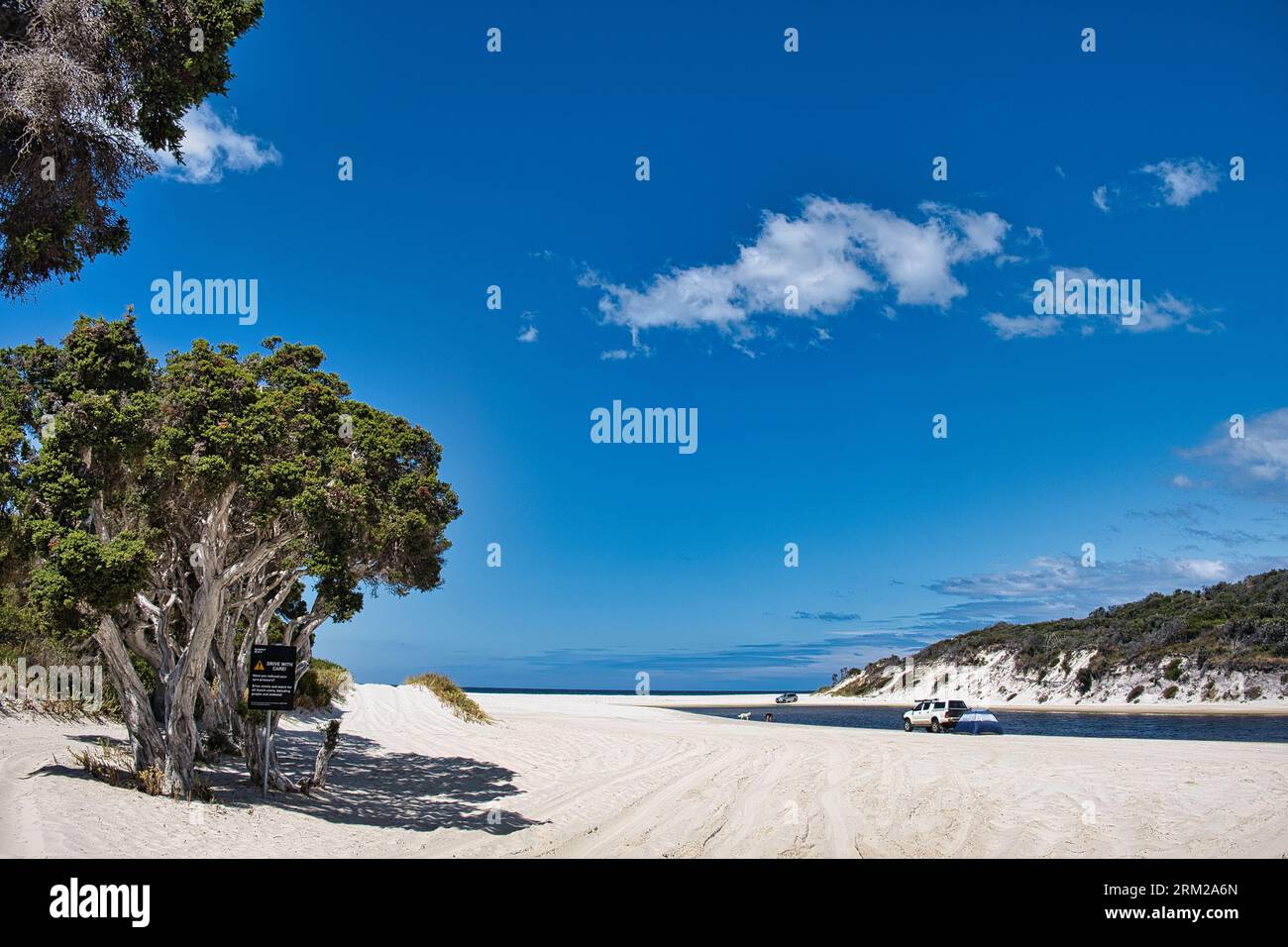 The white sand Nanarup Beach at the mouth of Taylor Inlet, near Albany, Western Australia, on a sunny summer day. Paperbark tree and cars on the beach Stock Photo