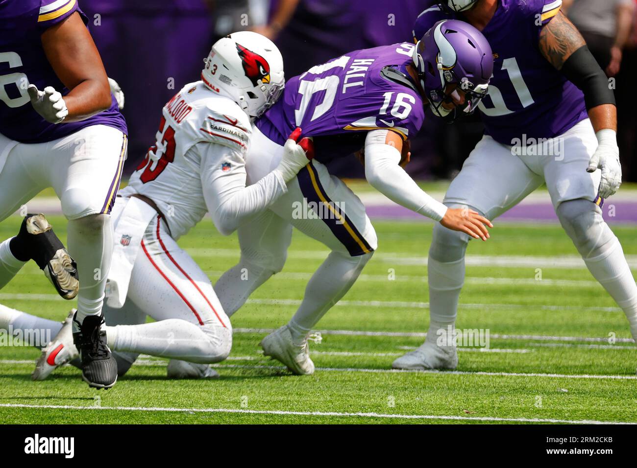 Arizona Cardinals linebacker Zach McCloud sacks Minnesota Vikings