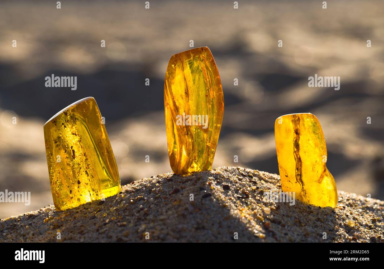 A few natural, polished Baltic ambers on a sandy beach in the rays of the setting sun. Kolobrzeg, Poland. Stock Photo