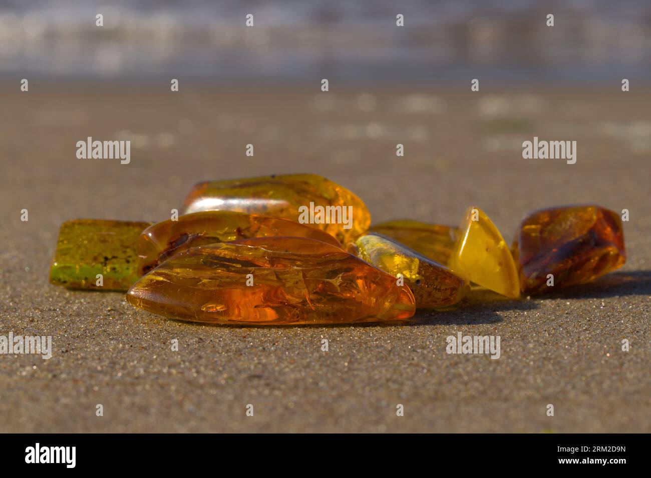 A few natural, polished Baltic ambers on a sandy beach in the rays of the setting sun. Kolobrzeg, Poland. Stock Photo