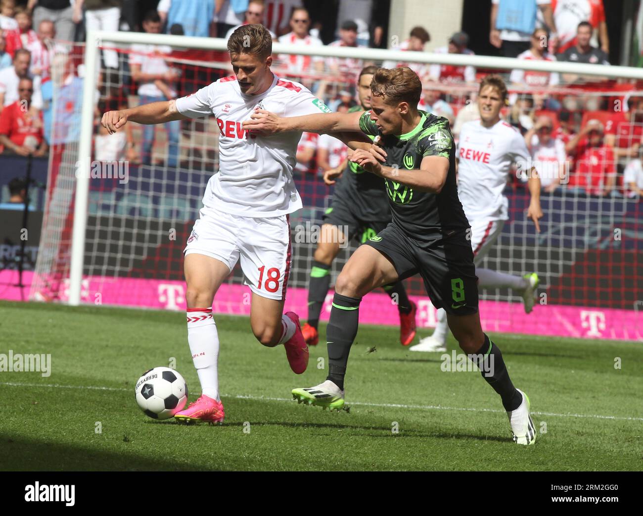 Koeln, Germany. 26th Aug, 2023. Nicolas Cozza of VfL Wolfsburg (R) and Cologne's Rasmus Carstensen during the Bundesliga match between VfL Wolfsburg and FC Koeln at RheinEnergieStadion ( Final score; VfL Wolfsburg 2:1 FC Koeln ) Credit: SOPA Images Limited/Alamy Live News Stock Photo