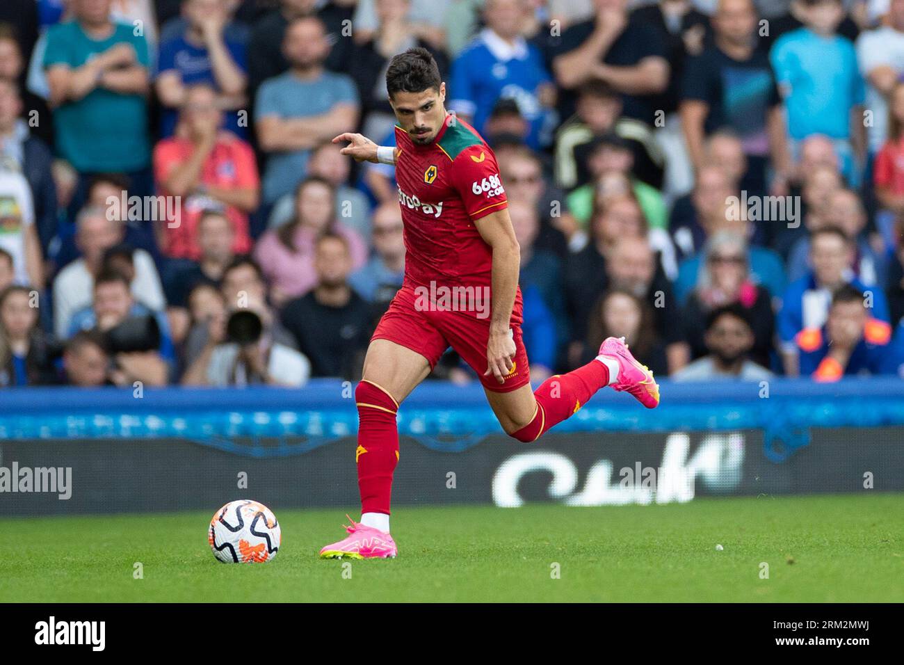 Pedro Neto #7 of Wolverhampton Wanderers during the game Stock