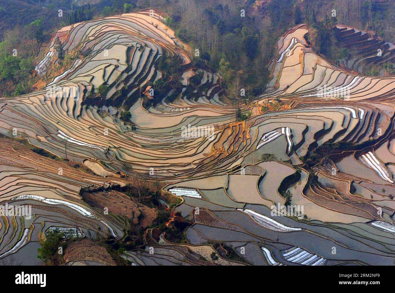 Bildnummer: 59888710  Datum: 14.02.2005  Copyright: imago/Xinhua BEIJING, - Photo take on February 14, 2005 shows the rice terraces in Yuanyang County of Honghe Prefecture, southwest China s Yunnan Province. The UNESCO s World Heritage Committee inscribed China s cultural landscape of Honghe Hani Rice Terraces onto the prestigious World Heritage List on Saturday, bringing the total number of World Heritage Sites in China to 45. (Xinhua/Lin Yiguang) (zwx) CHINA-YUNNAN-HONGHE HANI RICE TERRACES-WORLD HERITAGE LIST(CN) PUBLICATIONxNOTxINxCHN Gesellschaft Totale Landschaft Reisterassen Weltkulture Stock Photo