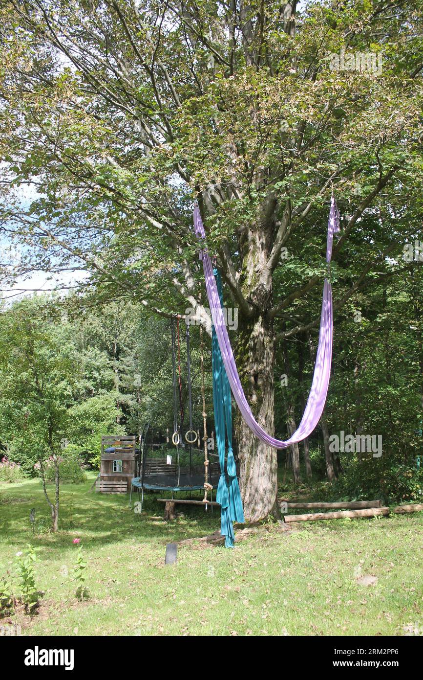 Backyard gym with climbing tree, silks, and rings Stock Photo Alamy