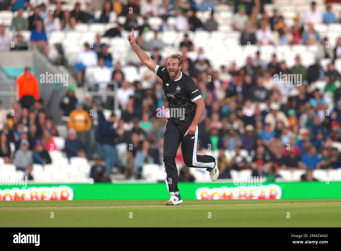 London, UK. 26th Aug, 2023. Paul Walter of the Manchester Originals gets the wicket of Finn Allen as The Manchester Originals take on The Southern Brave in The Hundred men's eliminator at The Kia Oval. Credit: David Rowe/Alamy Live News Stock Photo