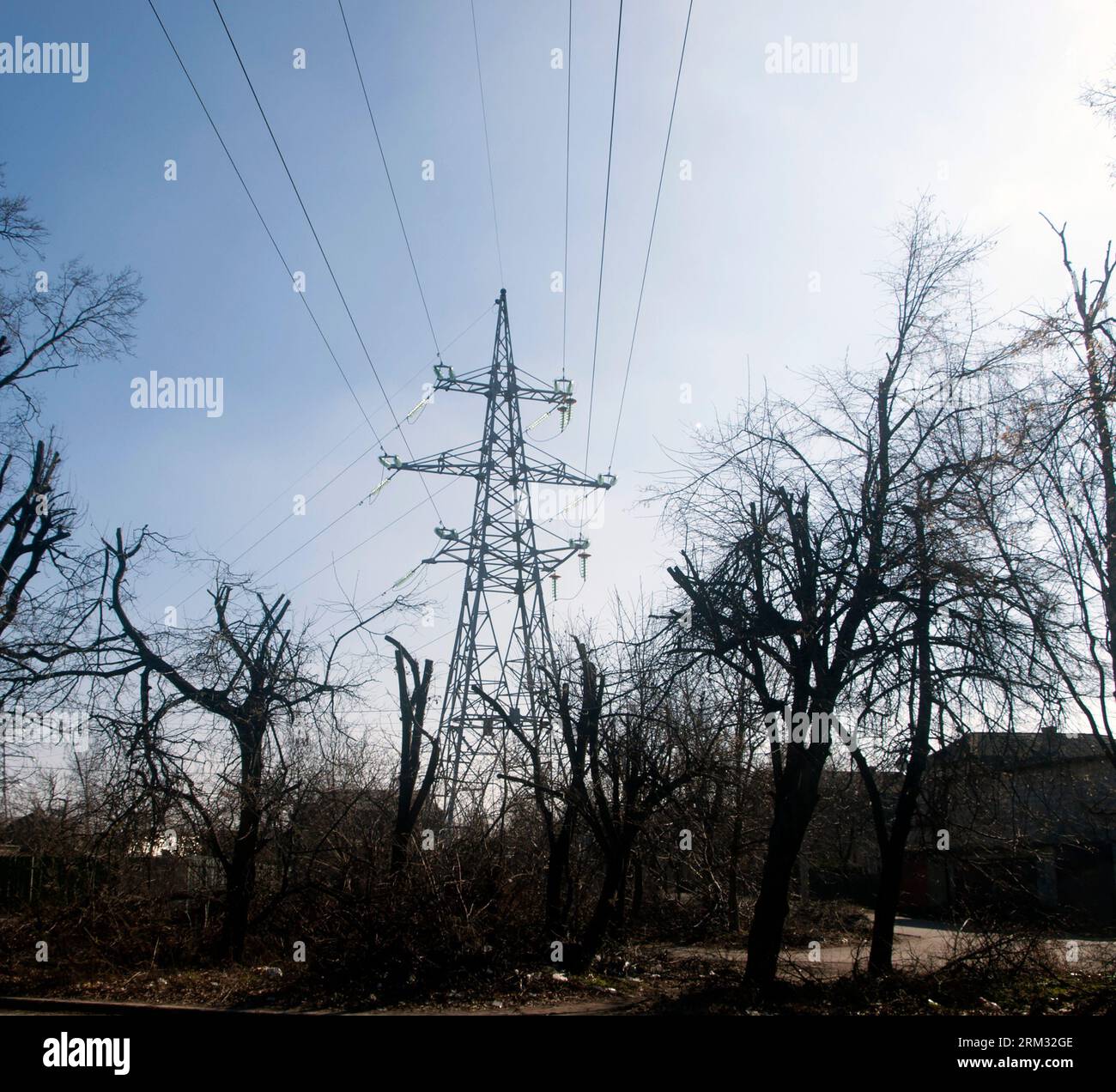 Power line among trees in hi-res stock photography and images - Alamy