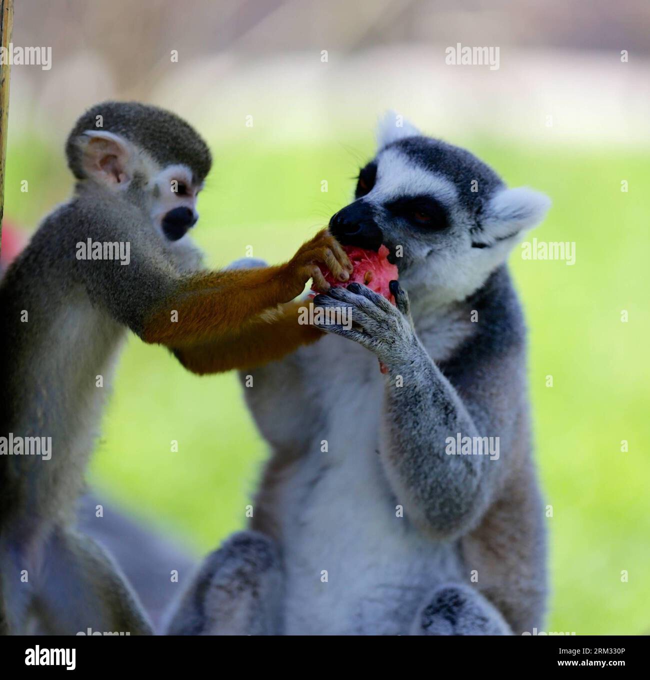 35 03 a hi-res stock photography and images - Page 11 - Alamy