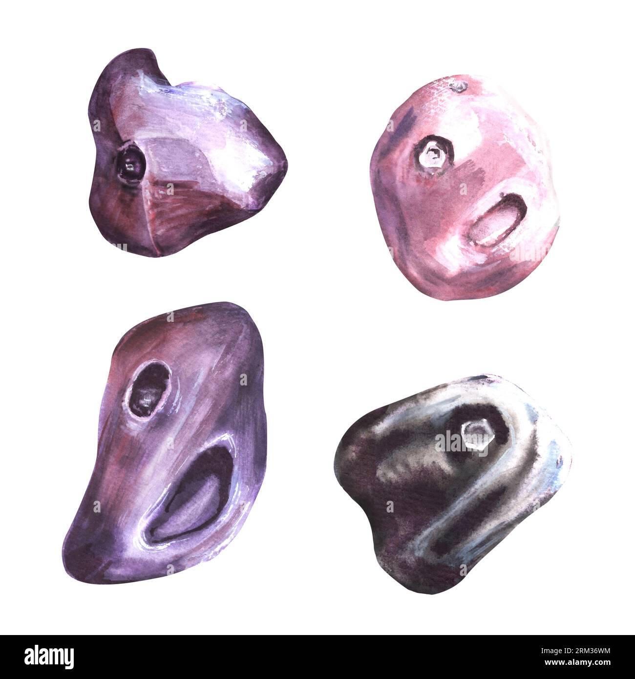 Set of grips different colors and shapes for climbing wall Holds for