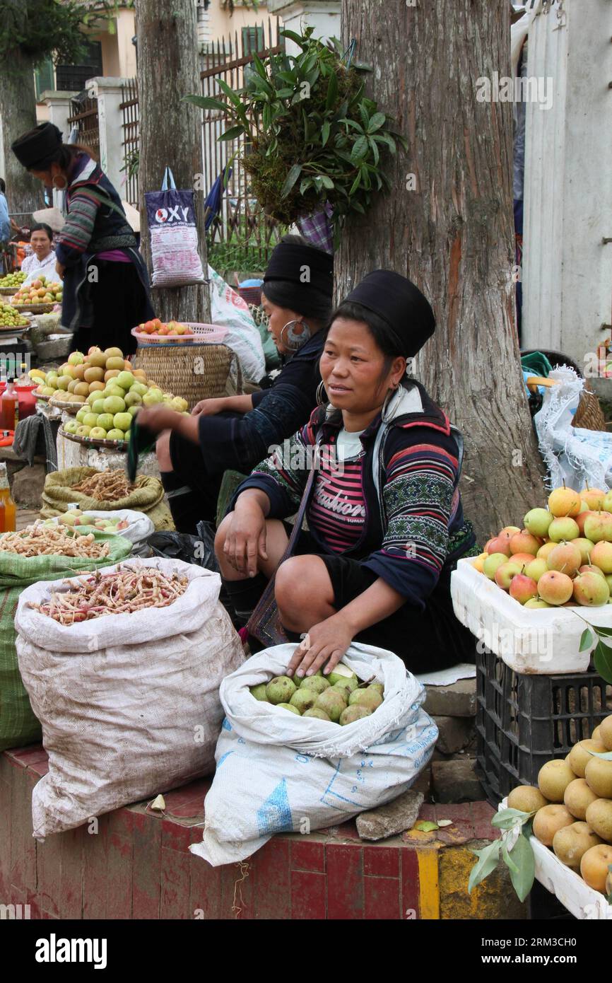 Bildnummer: 60139281  Datum: 16.07.2013  Copyright: imago/Xinhua (130717) -- SA PA (VIETNAM), (Xinhua) -- Ethnic women sell fruits at Sa Pa district in Lao Cai province, Vietnam, July 16, 2013. Lao Cai province is located in Vietnam s mountainous northwest, bordering China s Yunnan province. Sa Pa is a frontier town and capital of Sa Pa district in Lao Cai province, where several ethnic minority groups including H mong, Dao, Tay live on farming and handicraft. The terrace fields here attract many foreign tourists every year. (Xinhua/Nguyen Thuy Anh)(bxq) VIETNAM-SA PA-VIEW PUBLICATIONxNOTxINxC Stock Photo