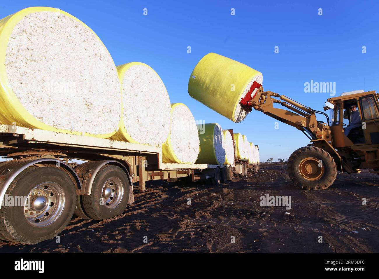 Bildnummer: 60154769  Datum: 17.07.2013  Copyright: imago/Xinhua SYDNEY, July 17 2013 - A roll of cotton is loaded at UNIBALE, a subsidiary of Chinatex Corporation, in Moree, New South Wales, Australia, on July 17, 2013. Chinatex Corporation purchased the cotton base to plant cotton in Moree in early 1990s. The base, covering an area of 5,200 hectares, owns the anual productivity of more than 2,700,000 kg unginned cotton and provides mainly for Chinatex Corporation and partly for international market. (Xinhua/Jin Linpeng) (lr) AUSTRALIA-NEW SOUTH WALES-MOREE-CHINATEX CORP-COTTON BASE-UNIBALE P Stock Photo