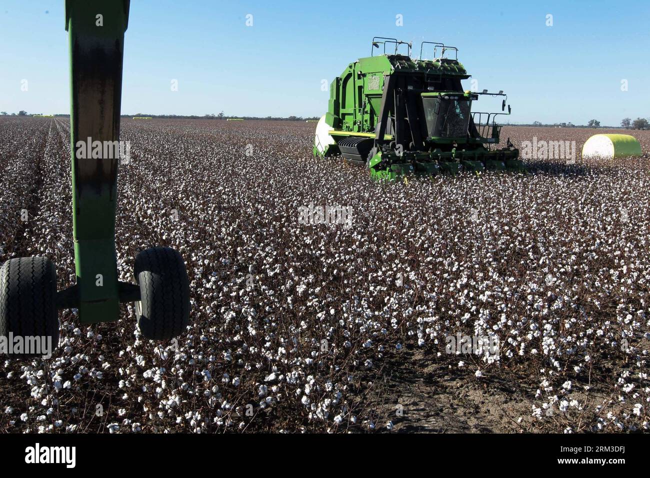 Bildnummer: 60154771  Datum: 17.07.2013  Copyright: imago/Xinhua SYDNEY, July 17 2013 - A worker drives a cotton-harvesting machine at UNIBALE, a subsidiary of Chinatex Corporation, in Moree, New South Wales, Australia, on July 17, 2013. Chinatex Corporation purchased the cotton base to plant cotton in Moree in early 1990s. The base, covering an area of 5,200 hectares, owns the anual productivity of more than 2,700,000 kg unginned cotton and provides mainly for Chinatex Corporation and partly for international market. (Xinhua/Jin Linpeng) (lr) AUSTRALIA-NEW SOUTH WALES-MOREE-CHINATEX CORP-COTT Stock Photo