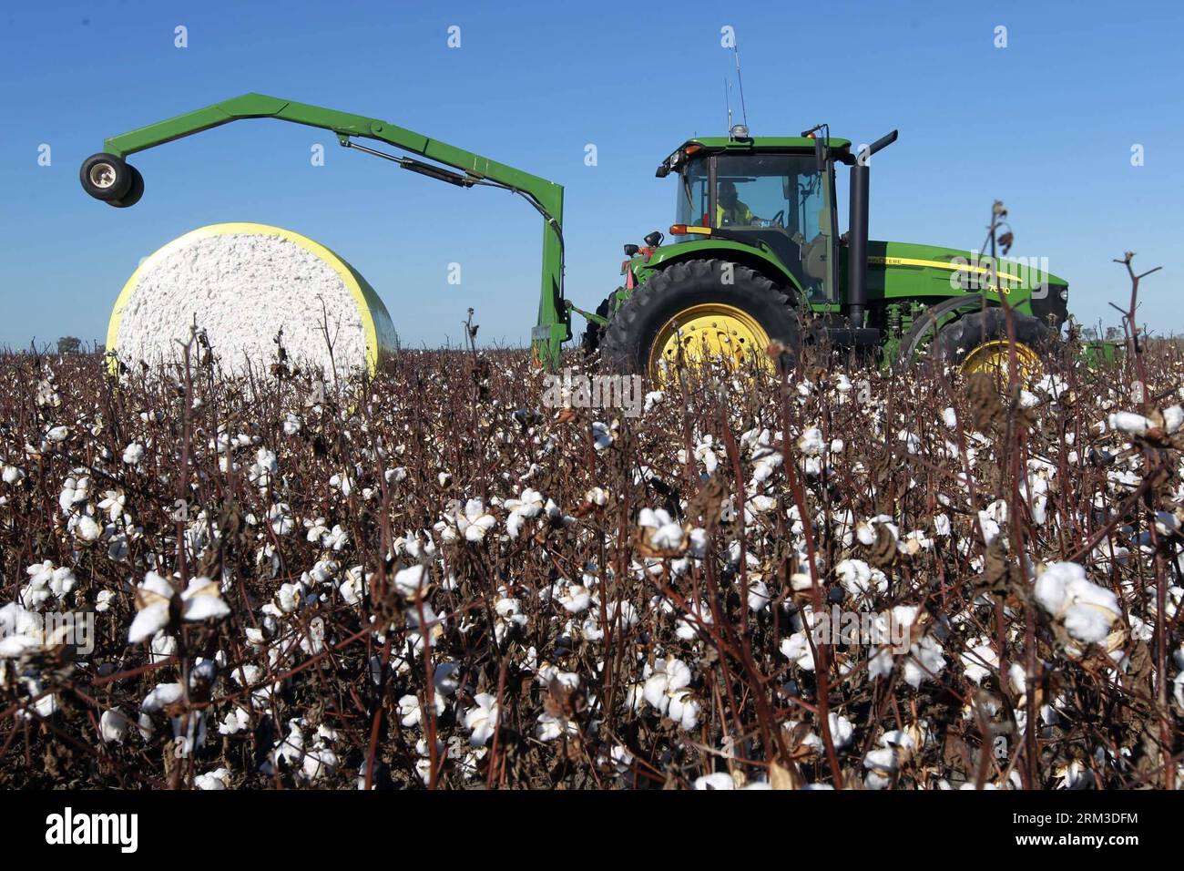 Bildnummer: 60154767  Datum: 17.07.2013  Copyright: imago/Xinhua SYDNEY, July 17 2013 - A worker drives a cotton-harvesting machine at UNIBALE, a subsidiary of Chinatex Corporation, in Moree, New South Wales, Australia, on July 17, 2013. Chinatex Corporation purchased the cotton base to plant cotton in Moree in early 1990s. The base, covering an area of 5,200 hectares, owns the anual productivity of more than 2,700,000 kg unginned cotton and provides mainly for Chinatex Corporation and partly for international market. (Xinhua/Jin Linpeng) (lr) AUSTRALIA-NEW SOUTH WALES-MOREE-CHINATEX CORP-COTT Stock Photo