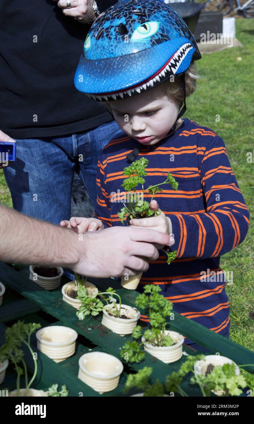 Bildnummer: 60229363  Datum: 28.07.2013  Copyright: imago/Xinhua (130728) -- SYDNEY, July 28, 2013 (XINHUA) -- A volunteer teaches a kid to plant at the Sydney Park in Sydney, Australia, on July 28, 2013, during the Australia Planet Ark National Tree Day event. Since the first Planet Ark National Tree Day in 1996, more than three million participants have planted around 20 million trees and shrubs in Australia. (Xinhua/Jin Linpeng)(xzj) AUSTRALIA-SYDNEY-TREE DAY PUBLICATIONxNOTxINxCHN Gesellschaft Umwelt Pflanzen Kinder Initiative Kampagne premiumd x0x xmb 2013 hoch      60229363 Date 28 07 20 Stock Photo