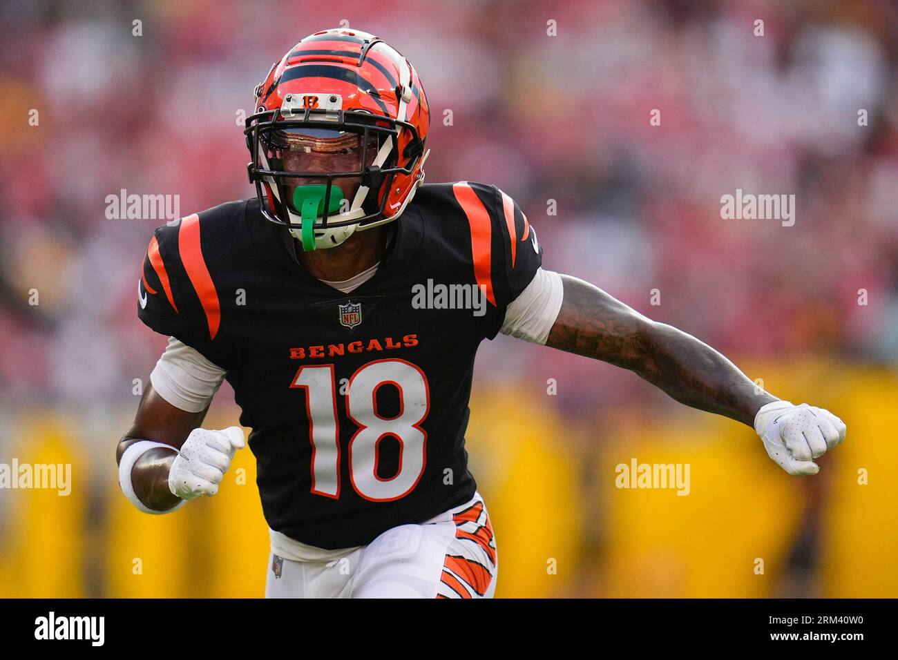 Cincinnati Bengals Wide Receiver Kwamie Lassiter II warms up for