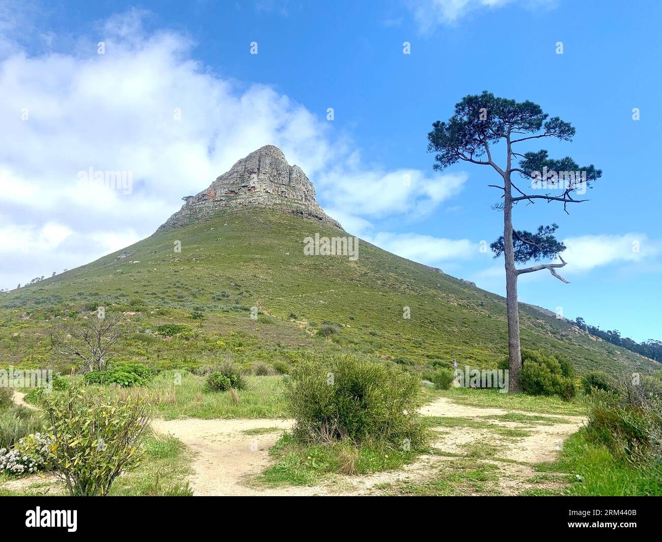 Lions head mountain in Cape town, South Africa Stock Photo - Alamy