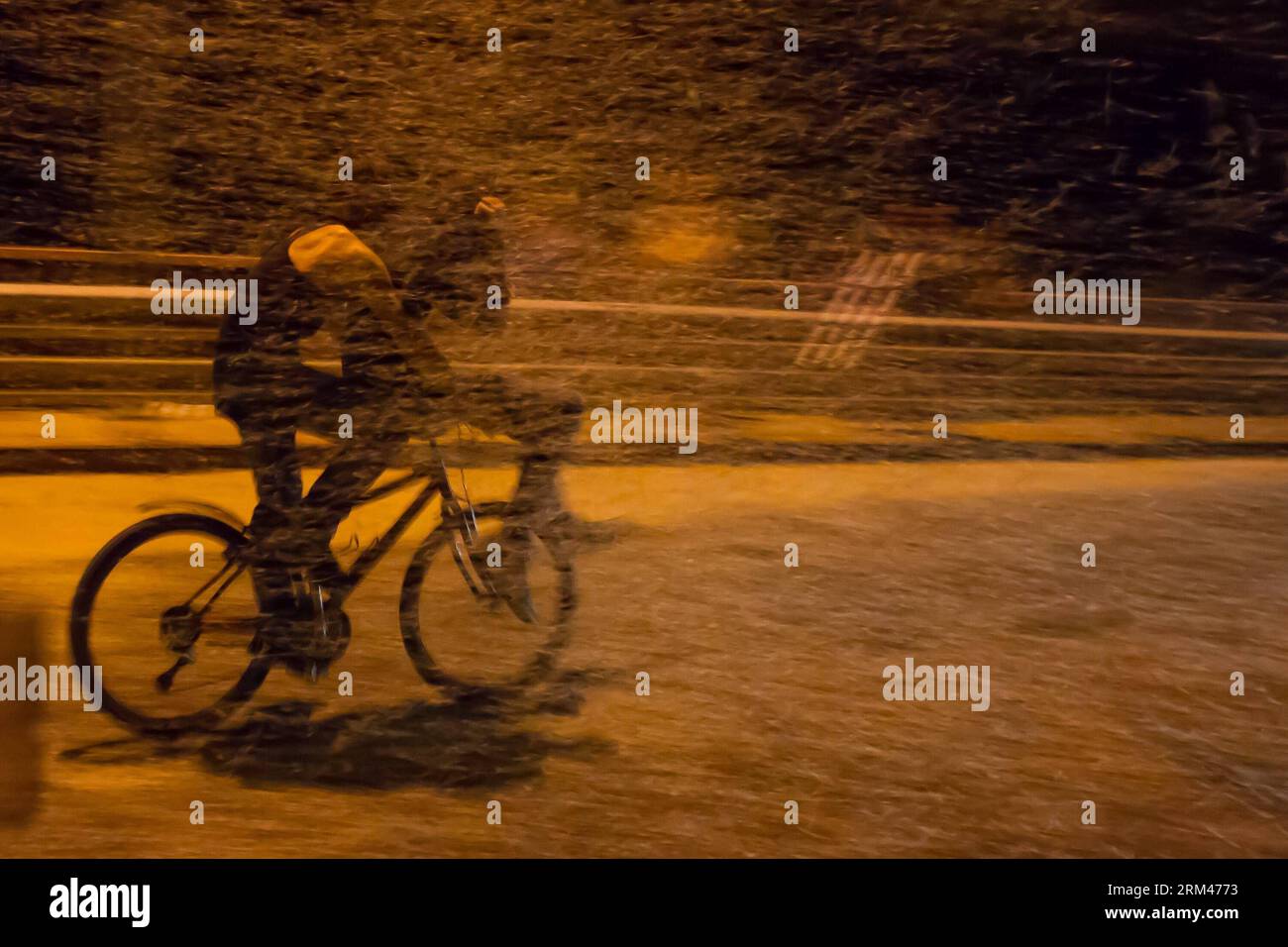 Bildnummer: 60389150  Datum: 24.08.2013  Copyright: imago/Xinhua TAHITOTFALU(HUNGARY), Aug. 24, 2013 (Xinhua) -- ride a bike among the swarming mayflies along River Danube in Tahitotfalu, some 30 km north from Budapest, Hungary, on Aug. 24, 2013. The improvement of the water quality helped the mayfly species return to River Danube in recent years after four decades of absence. Unlike the more commonly known long-tailed mayfly species on River Tisza, these insects swarm on River Danube at night. (Xinhua/Attila Volgyi) HUNGARY-NIGHT-MAYFLY SWARMING PUBLICATIONxNOTxINxCHN Gesellschaft Insekten Ei Stock Photo