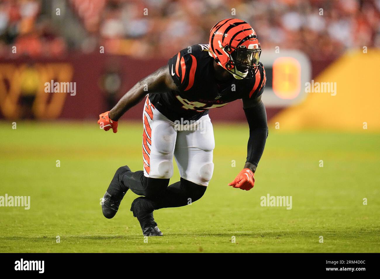 Cincinnati Bengals linebacker Tyler Murray (45) rushing in for punt  coverage against the Washington Commanders during the second half of an NFL  preseason football game, Saturday, Aug. 26, 2023, in Landover, Md. (