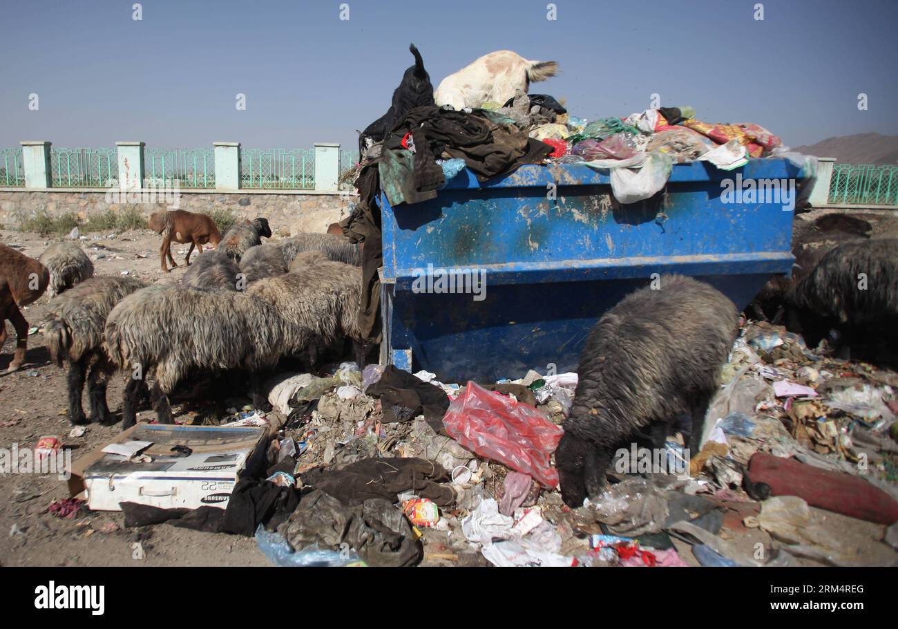 Bildnummer: 60509391  Datum: 21.09.2013  Copyright: imago/Xinhua (130921) -- KABUL, Sept. 21, 2013 (Xinhua) -- Sheep gather around a garbage site in Kabul, Afghanistan, on Sept. 21, 2013. (Xinhua/Ahmad Massoud) AFGHANISTAN-KABUL-VIEW PUBLICATIONxNOTxINxCHN Gesellschaft x2x xkg 2013 quer  o0 Schaf Tiere Müll kurios     60509391 Date 21 09 2013 Copyright Imago XINHUA  Kabul Sept 21 2013 XINHUA Sheep gather Around a Garbage Site in Kabul Afghanistan ON Sept 21 2013 XINHUA Ahmad Massoud Afghanistan Kabul View PUBLICATIONxNOTxINxCHN Society x2x xkg 2013 horizontal o0 Sheep Animals Garbage funny Stock Photo