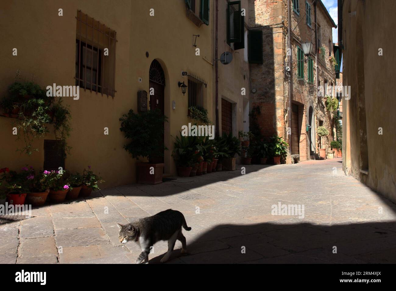 Bildnummer: 60528700  Datum: 25.09.2013  Copyright: imago/Xinhua A cat walks past a street in the historic center of Pienza, Italy, Sept. 25, 2013. It was in this Tuscan town that Renaissance town-planning concepts were first put into practice after Pope Pius II decided, in 1459, to transform the look of his birthplace. He chose the architect Bernardo Rossellino, who applied the principles of his mentor, Leon Battista Alberti. This new vision of urban space was realized in the superb square known as Piazza Pio II and the buildings around it: the Piccolomini Palace, the Borgia Palace and the ca Stock Photo