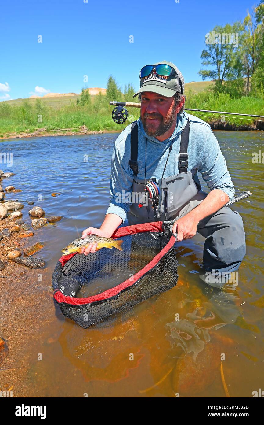 A guide lifts a large brown trout caught and released from the Fraser
