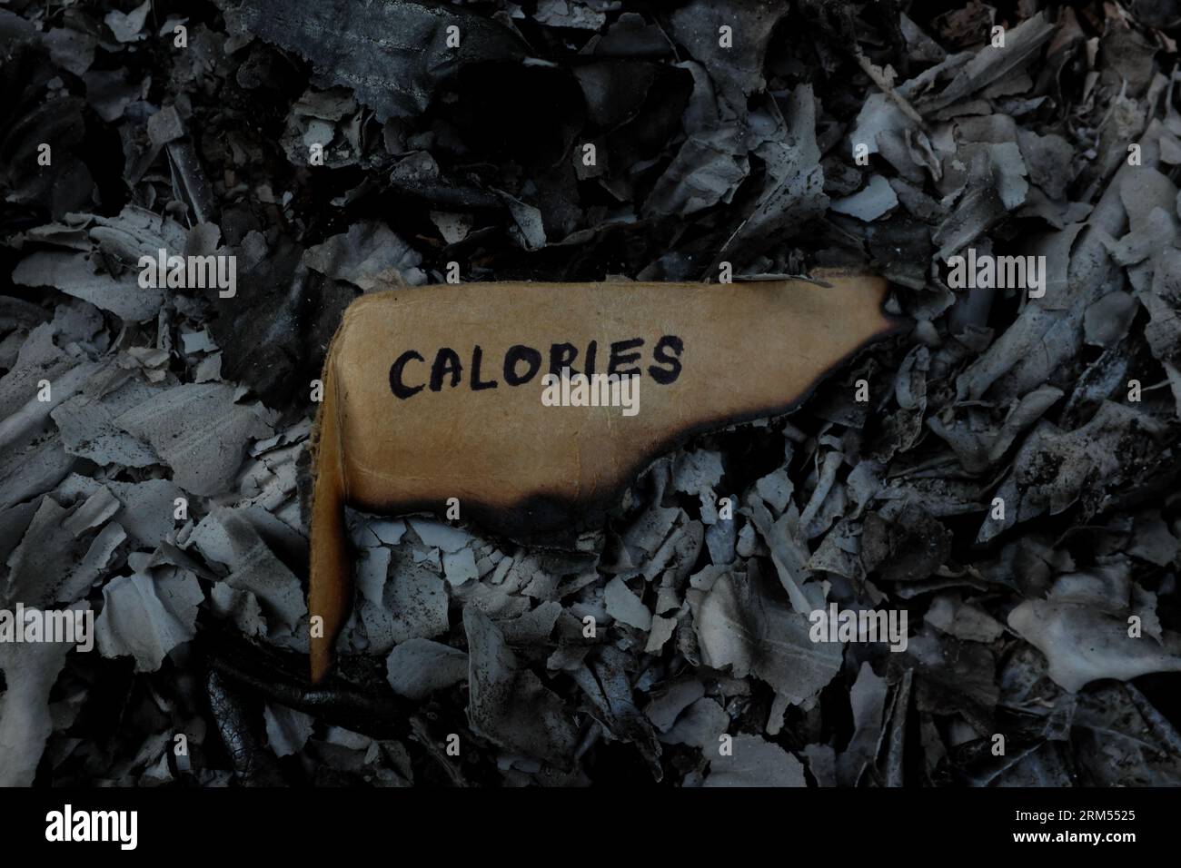 Burn calories concept. Burning paper with written word calorie Stock